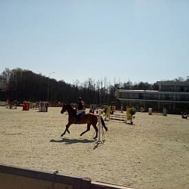Дежурство скорой помощи на конно-спортивном мероприятии