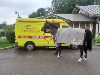 Дежурство скорой помощи в конном спортивном клубе